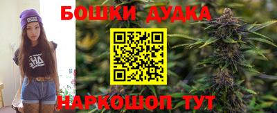 СК Дубна